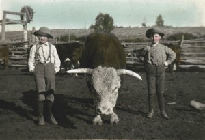 Bull Cottontop Mills Earl Burnett 1904