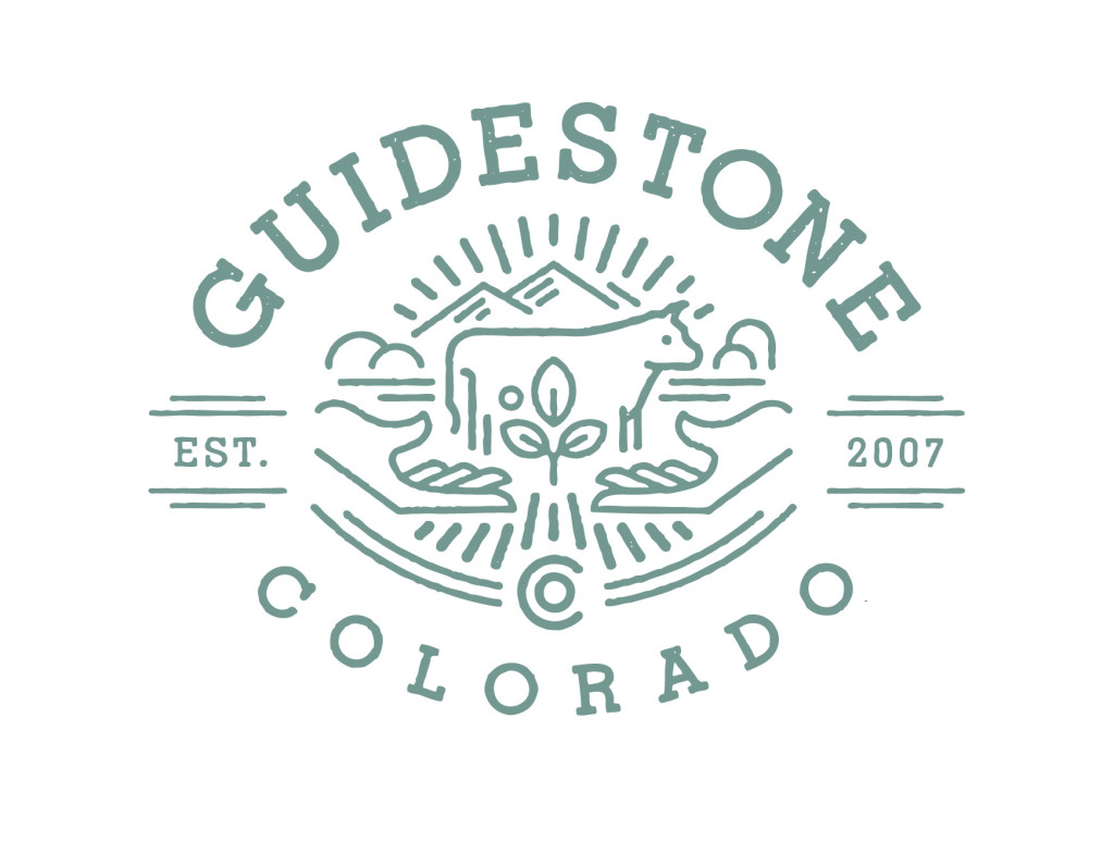 Guidestone_Logo_Color